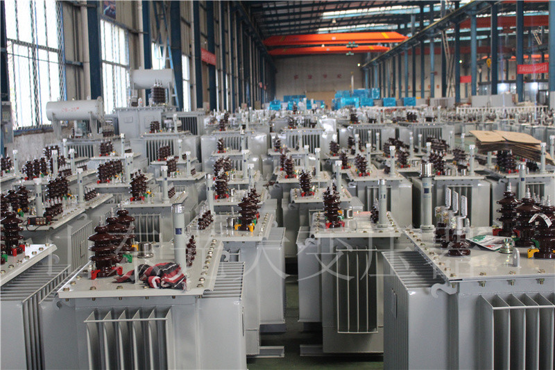赤水S22-800KVA/10KV
